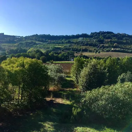 House With 2 Bedrooms In Campofilone With Furnished Garden 3 Km From The Beach Campofilone